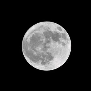 Meet your Posher, Adrienne